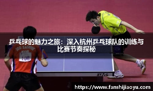 乒乓球的魅力之旅：深入杭州乒乓球队的训练与比赛节奏探秘